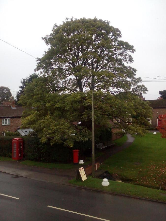 The Grey Horse Hotel Elvington Bagian luar foto